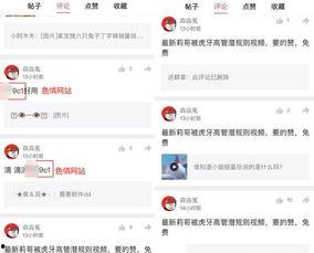 视频爆料规则最新,合规发布,守护网络空间清朗